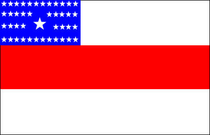 Bandeira de Amazonas