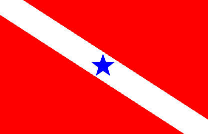Bandeira de Pará
